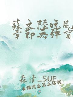 苏文陆晚风最新章节无弹窗笔趣阁