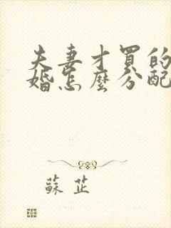 夫妻才买的房离婚怎么分配