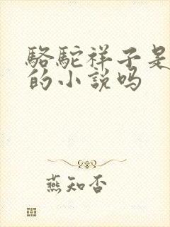 骆驼祥子是老舍的小说吗