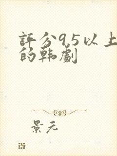 评分9.5以上的韩剧