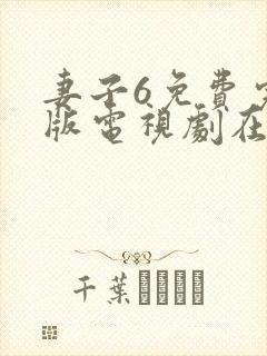 妻子6免费完整版电视剧在线