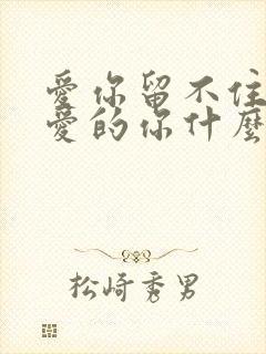 爱你留不住你亲爱的你什么歌