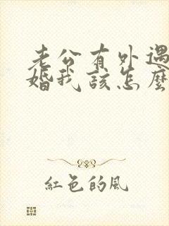 老公有外遇要离婚我该怎么办