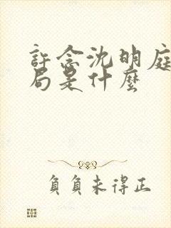 许念沈明庭大结局是什么