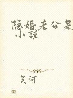 隐婚老公是大佬 小说