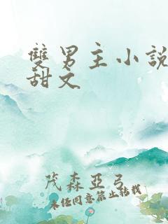 双男主小说推荐甜文