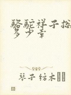 骆驼祥子总共有多少章