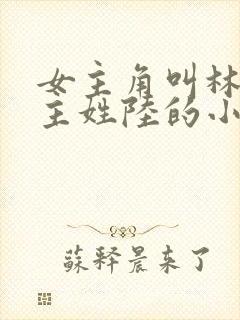 女主角叫林夏男主姓陆的小说