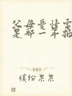 父母爱情电视剧是哪一年拍摄的