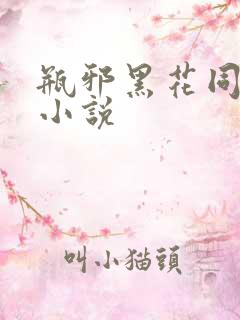 瓶邪黑花同人文小说