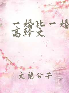 一婚比一婚高的高干文