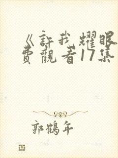 《许我耀眼》免费观看17集电视剧