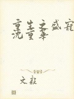 重生之盛宠沈七沈重华