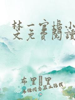 林一官场小说全文免费阅读