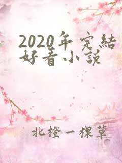 2020年完结好看小说