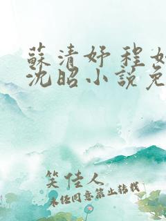 苏清妤 程如锦沈昭小说免费阅读