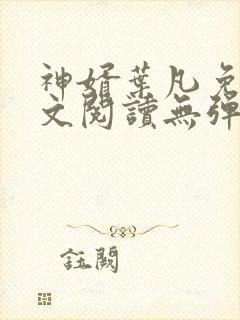 神婿叶凡免费全文阅读无弹窗