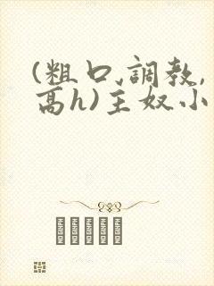 (粗口,调教,高h)主奴小说