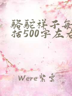 骆驼祥子每章概括500字左右