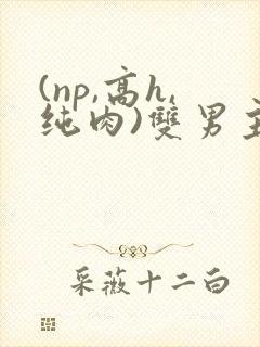 (np,高h,纯肉)双男主