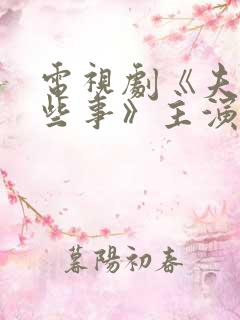 电视剧《夫妻那些事》主演