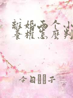 离婚两个小孩抚养权怎么判