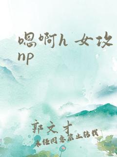 嗯啊h 女攻 np