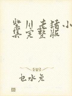 紫川老猪小说全集完整版