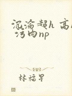 沉沦超h 高h 污肉np