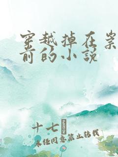 穿越掉在崇祯面前的小说