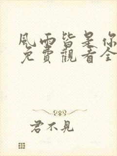 风雨皆是你短剧免费观看全集高清版