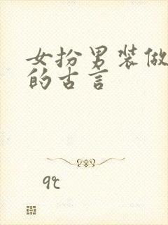 女扮男装做生意的古言