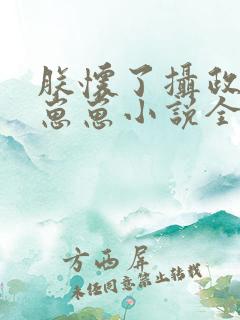 朕怀了摄政王的崽崽小说全文免费阅读