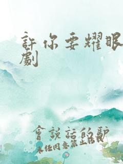 许你要耀眼电视剧