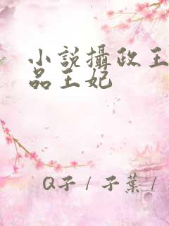 小说摄政王的医品王妃