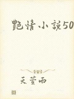 艳情小说500