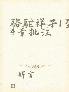 骆驼祥子1至24章批注