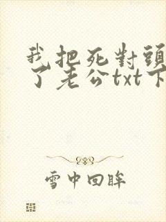 我把死对头养成了老公txt下载