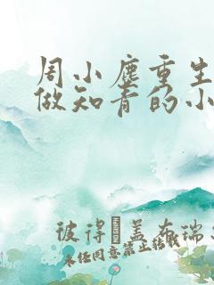 周小尘重生下乡做知青的小说