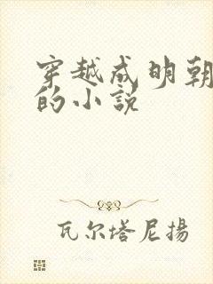 穿越成明朝崇祯的小说