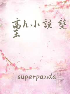 高h小说 双男主