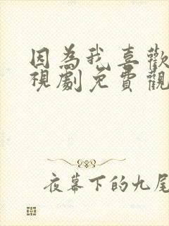 因为我喜欢你电视剧免费观看超清