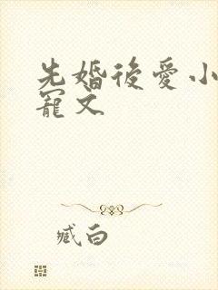 先婚后爱小说甜宠文