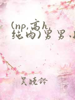 (np,高h,纯肉)男男小说