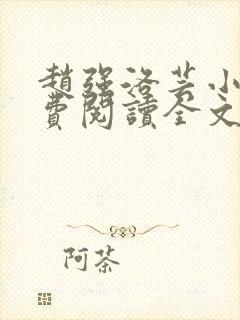 赵强洛芸小说免费阅读全文最新章节