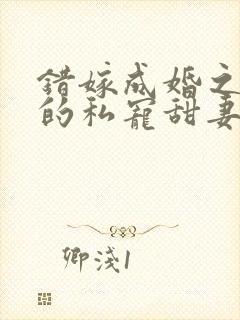 错嫁成婚之总裁的私宠甜妻阅读小说