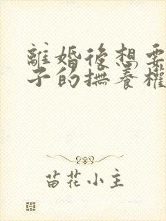 离婚后想要回孩子的抚养权该怎么办