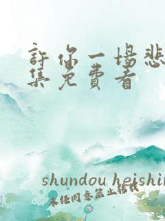 许你一场悲欢全集免费看