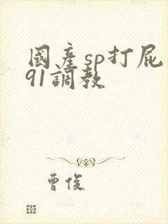 国产sp打屁股91调教