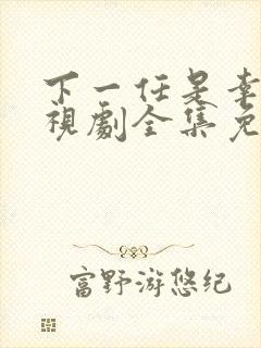 下一任是幸福电视剧全集免费观看